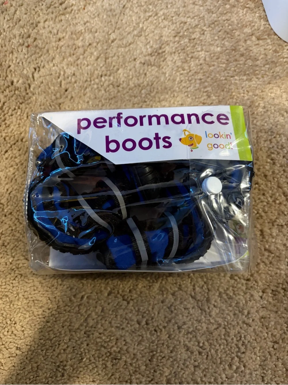 Small Dog Boots - Pack of 4